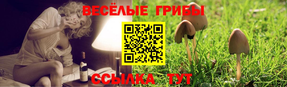 Псилоцибиновые грибы GOLDEN TEACHER Вязьма